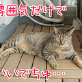 090613-【猫アニメ】運動会見物ちぅにゃ～