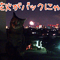 090815-【猫アニメ】六郷花火大会にゃ！