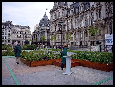 P2060114