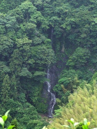 則沢不動滝　2011.6.12-1