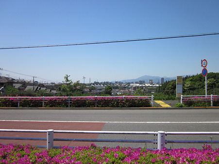 見晴らしの丘