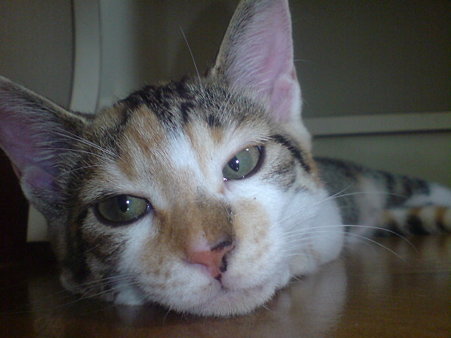 2009080302