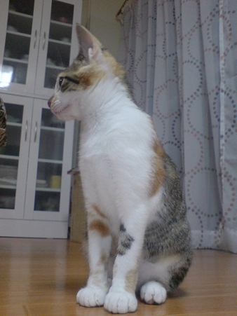 2009080402