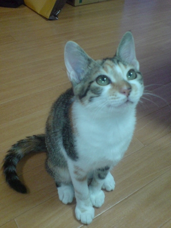 2009081004