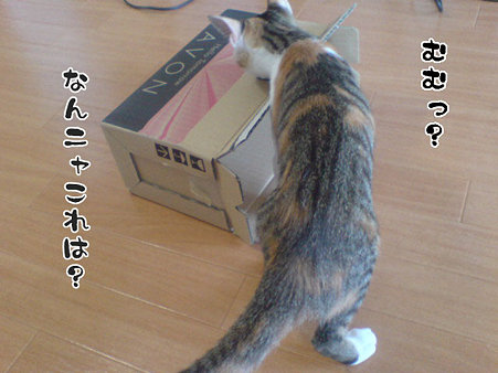 2009081601