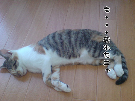 2009081604