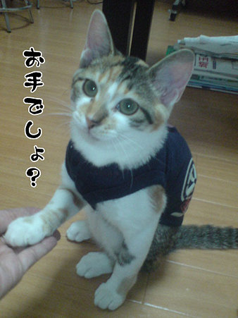 2009081802