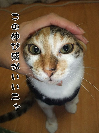 2009082205