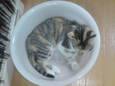 2009071602