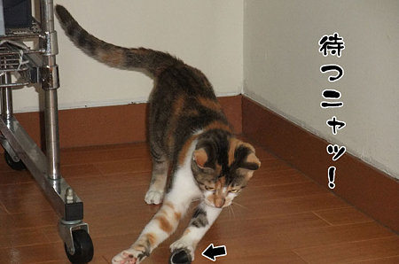 2009082503