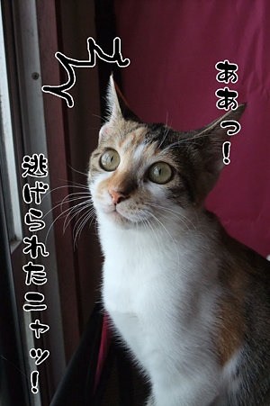 2009082704