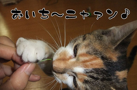 2009090103