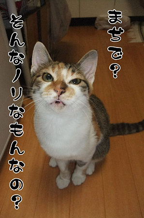 2009090902