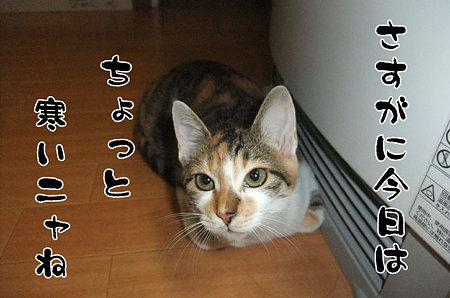 2009091401