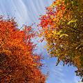 Photos: 秋が流れる…。