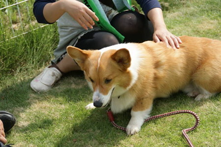 DSC06043