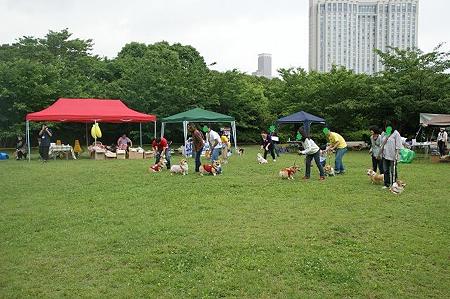 DSC08837