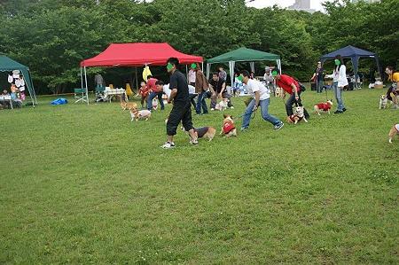 DSC08862