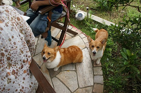 DSC09876