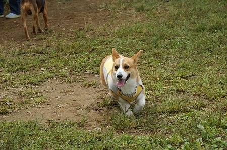 DSC02480