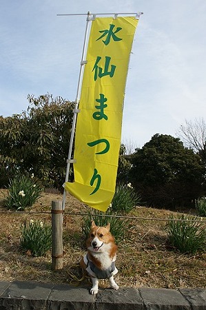 DSC07259