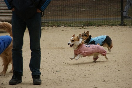 DSC09060