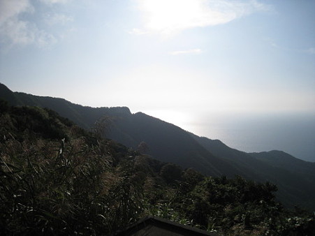 13Y山