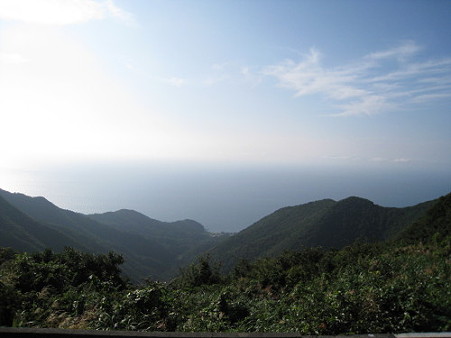 11Y山