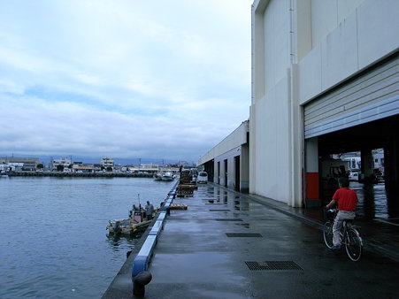 沼津漁港