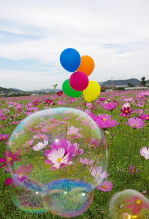 IMGP8858_1029