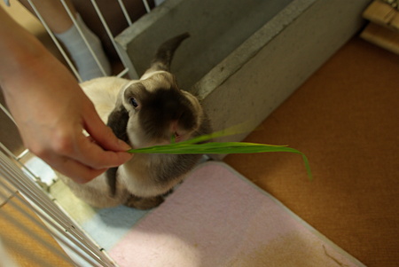 20090530 (9)
