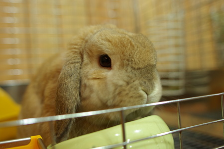 20090530 (2)