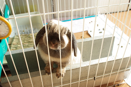20090530 (1)