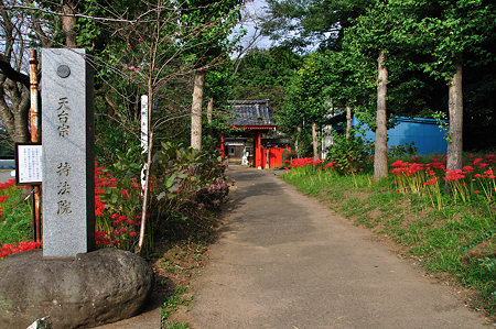 DSC_0002_1590