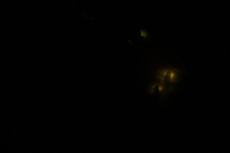 DSC02665