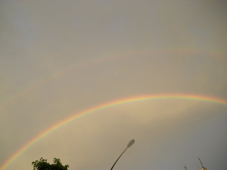W-RAINBOW