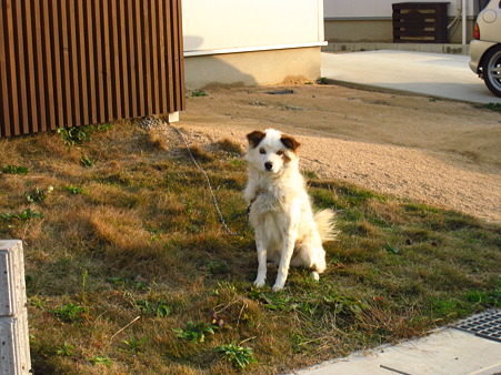 PIC00023