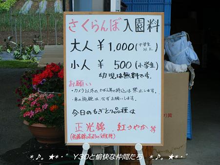 DSCF8541_pa
