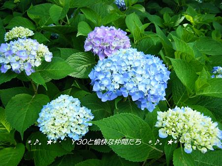 DSCF8697_pa
