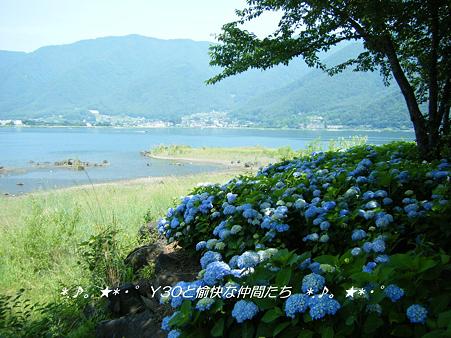 DSCF8704_pa
