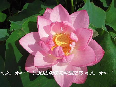DSCF0042_pa