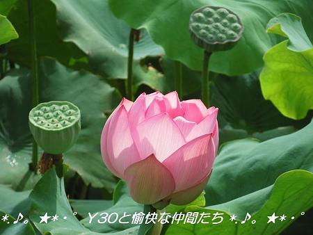 DSCF0050_pa
