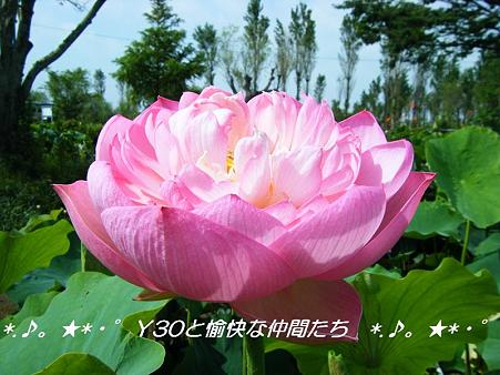 DSCF8812_pa