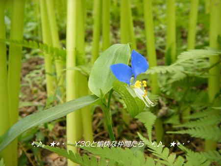 DSCF8893