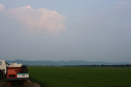 のどかな田園