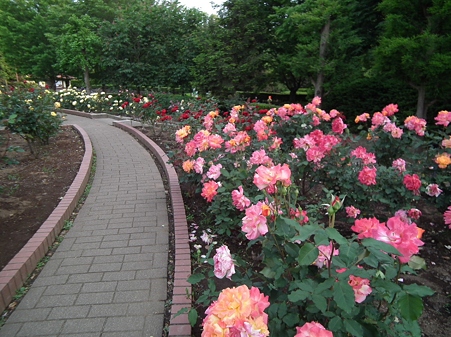 DSCF0731