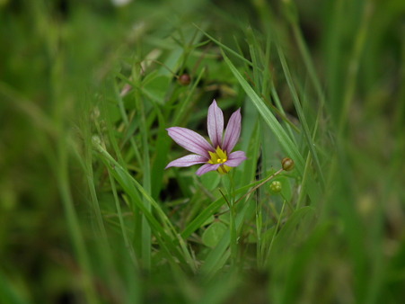 DSCF0053