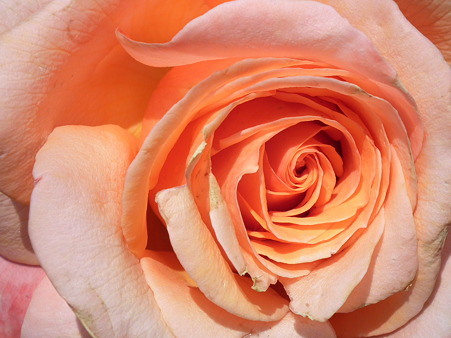 DSCF0012