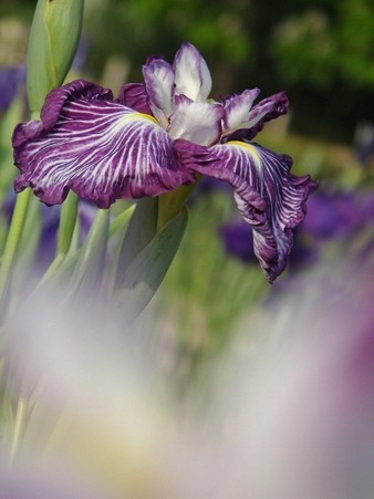 DSCF0946