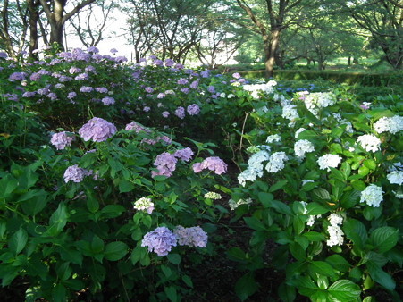 DSCF0671